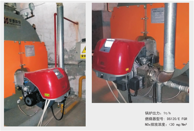 DS120/E FGR安裝實例